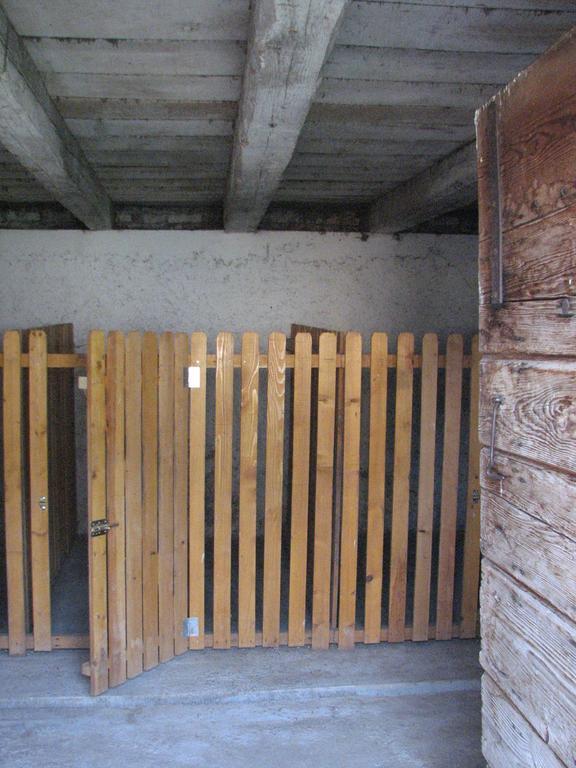 House Nada Apartment Donji Babin Potok Ngoại thất bức ảnh
